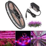 SJP Light®LED Plant Grow Strip Light Kit(Power Adapter Included),Full Spectrum SMD 5050 Red Blue 4:1 Lighting Ribbon For Indoor Aquarium Greenhouse Hydroponic Plants Flower Growing (1M)