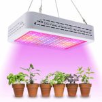 Golspark 1200W LED Grow Light Full Spectrum for Greenhouse, Double Switch Plant Light for Veg and Flower