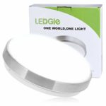 LEDGLE 13W LED Ceiling Lights, 10in, 110W Incandescent Bulbs Equivalent, 960lm, Lighting for Bathroom, Kitchen, Hallway, Flush Mount Ceiling Light, 6000K Daylight White