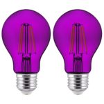Sunlite 81081 LED Filament A19 Standard Colored Transparent Dimmable Light Bulb 2 Pack Purple