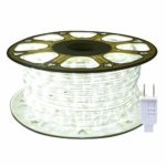 ollrieu 98.4ft/30m LED Rope Lights Daylight White,Waterproof 1080 LEDs Strip Light 110V Power Plug Built-in Fuses,Connectable Indoor Outdoor Decoration Lighting for Patio Garden Room Party Mirror