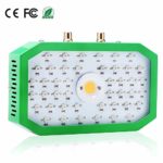 Led Grow Light Full Spectrum Plant Light Growing Lamps with Veg&Bloom Switch for Greenhouse Hydroponic Indoor Plants Veg and Flower,1000W COB(Dual Chip)