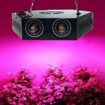 1000W LED Grow Light for Indoor Plant, Adjustable Full Spectrum Plant Light Growing Lamps with Veg and Bloom for Basement Planting.