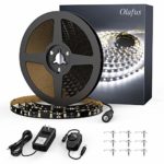 Olafus 32.8ft LED Strip Lights Kit Dimmable, 600 LEDs Under Cabinet Lights, SMD2835 6000K Daylight White 12V LED Ribbon Light, Non-Waterproof LED Tape Light for Home, Kitchen, UL Listed Power Supply