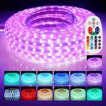 LED Strip Lights, Remote Controller RGB Waterproof Rope Light, Flexible Multi-color Change LED Strip Rope Wire Light for Party Holiday Home Decoration 5050 SMD 60 LEDs/M 110V 50 FT