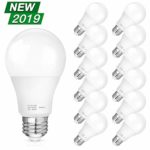 A19 LED Light Bulbs, 100-125W Equivalent LED Bulbs, 1500 Lumens Daylight White Edison Bulbs, E26 Medium Screw Base, No Flicker, CRI 80+, 25000+ Hours Lifespan, Non Dimmable, 12-Pack