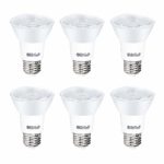 YGS-Tech 6 Pack PAR20 LED Light Bulb, 7W Dimmable Flood Bulbs (50W Equivalent), 5000K Daylight White, CRI80+, 500 Lumens, E26 Base, 25,000 HRS, Indoor/Outdoor – UL Listed