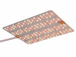 ACKE DIY DC24V 50W LED Grow Light Panel for Grow Light Stand, Mini Greenhouse, Daisy Chain Plant Light for Plants’ Germination, Seedling, Vegetative Growth and Flowering (Adapter is not Included)