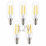 OPALRAY DC 12V 24V Input T8/T25 Mini Tube LED Bulb, 4W 400Lm, Dimmable with 12V Dimmer, E12 Candle Base, Natural White Light 4000K, 40W Incandescent Equivalent, for DC/AC 12Volts Power, 5-Pack