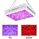 BLOOMSPECT 2000W LED Grow Light: Full Spectrum for Indoor Hydroponics Greenhouse Plants Veg and Bloom (200pcs 10W LEDs)