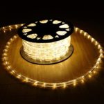 DanLi Flexible 100ft/30m 2-Wire Waterproof LED Rope Light Kit, Good for Garden, Christmas Lighting,Wedding,Party,Tree Decoration (Warm White)