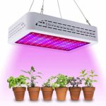 Golspark 1000W LED Grow Light Full Spectrum for Greenhouse, Double Switch Plant Light for Veg and Flower