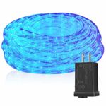 DINGFU Upgraded 100 Feet Led Rope Lights ,2-Wire Low Voltage Waterproof Blue Rope Lights Kit,  Strip Lighting for Indoor and Outdoor Background,Yard,Garden ,Bridges Decoration with UL Certified