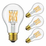 Yiizon LED Filament Bulb 10W (100W Equivalent), Classic Edison A19/A60 LED Light Bulbs, E26 Medium Base Lamp, 2700K Warm White, 1000 Lumens,Dimmable LED Edison Bulbs, Pack of 4 (10w-Warm White-4p)