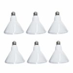 6PCS/Pack PAR38 LED Flood Light Bulb, IP65 Waterproof for Indoor and Outdoor Use,13 W LED Flood Light Bulb (100W-120W Equivalent), 1300lm, 5000K Cool White, 90 Degree Beam Angle, Medium Base(E26)