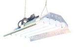 T5 Grow Light (2ft 4lamps) DL824 Ho Fluorescent Hydroponic Bloom Veg Daisy Chain with Bulbs