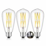 CRLight 12W Dimmable LED Edison Bulb 5000K Daylight White, 120W Equivalent 1200 Lumens, E26 Medium Base Antique ST64 Clear Glass LED Double-layer Spiral Filament Bulbs, Smooth Dimming Version, 3 Pack