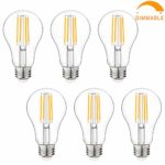 Dimmable LED Light Bulbs, 100W Equivalent Filament Edison Bulbs, A21 Vintage LED Blubs Warm White, Medium Screw Base (E26), 1100 Lumens, 6-Pack (2700K)