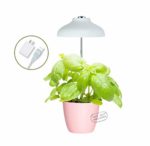 GrowLED LED Umbrella Plant Grow Light, Herb Garden, Height Adjustable, Automatic Timer, 5V Low Safe Voltage, Ideal for Plant Grow Novice Or Enthusiasts, Various Plants, DIY Decoration, White