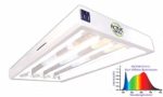 Active Grow T5 LED Grow Light Fixture for Indoor Gardens, Hydroponics & Vertical Racks – Contains (4) 12W T5 HO 2FT LED Tubes – Sun White Full Spectrum (High CRI 95) – UL Listed