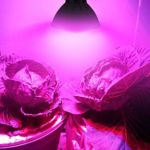 Toonshare LED Grow Light with Reflector, Chips (12W LED) Full Spectrum LED Plant Growing Lamp with Bloom and Veg Switch for All Indoor Plants