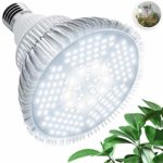 100W LED Grow Light Bulb – Pure White Full Spectrum Plant Light for Indoor Plants, Garden, Aquarium, Vegetables, Greenhouse & Hydroponic Growing | E26/E27 Socket (AC85-265V) by Haus Bright