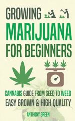 Growing Marijuana for Beginners: Cannabis Growguide – From Seed to Weed