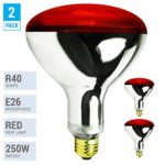 (Pack of 2) K21761 250R40/HR 250 Watt, Incandescent R40 Reflector, Red Head Lamp, Heat Flood Lamp Light Bulb, E26 Standard Medium Screw Base, 120V, 6,000 Hour Rated