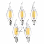 OPALRAY 12V Low Voltage LED Candelabra Bulb, 6W Dimmable with 12V DC Dimmer, Warm White Light, E12 Candle Base, Clear Glass Flame Tip, 600Lm 60W Incandescent Equivalent, for 12V-24V Grid, 5 Pack