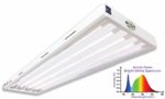 Active Grow T5 High Output LED Grow Light Fixture for Indoor Gardens, Hydroponics & Vertical Racks – Contains (4) 24W T5 HO 4FT LED Tubes – Bright White HO Spectrum – UL Listed