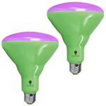 2 Pack 150W LED Grow Light Bulb BR40 Light Bulb – Full Spectrum Grow Lamp Grow Healthier & Yield Better Harvests for DIY Indoor Plants, Flowers, Greenhouse, Indore Garden, Hydroponic
