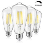 Vintage LED Dimmable Edison Light Bulbs 100W Equivalent, 1200Lumens, 8W E26 Base LED Filament Bulbs, 5000K Daylight White, ST64/ST21 Antique Clear Glass Style for Home, Reading Room, Bathroom, 4-Pack