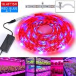 Plant Grow Light 5050 SMD LED Plant Strip Lights Indoor Growing Lamp 16.4ft Waterproof Flexible Soft Rope Light with 12V Adapter for Greenhouse Hydroponics Flower Seeds(Red Blue 4:1)