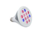 LED Grow Light Bulb – Perfect Grow Lights for Indoor & Outdoor Plants – Suitable for Hydroponic Garden Greenhouses – LED Growing Light – 12W E27 – 12 LEDS (3 Blue & 9 Red) – Divine LEDs