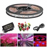 Topled Light® LED Plant Grow Strip Light with Power Adapter,Full Spectrum SMD 5050 Red Blue 4:1 Rope Light for Aquarium Greenhouse Hydroponic Pant Garden Flowers Veg Grow Light (5M)
