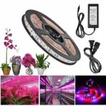 ALight House LED Plant Grow Strip Light,Full Spectrum SMD 5050 Red Blue 4:1 Rope Light with Power Adapter for Aquarium Greenhouse Hydroponic Pant (2M)