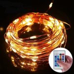 LED String Lights, Treecoo Dimmable Copper Wire 33ft 100 LED Starry Light with Remote，12v Power Adapter, Soothing Décor, Elegant Rope Light Suitable for Christmas, Weddings, Parties Waterproof