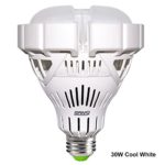 SANSI 30W Cool White LED Light Bulb, 6500K 3000lm Equal to 250-Watt Incandescent for Garage Factory Warehouse Barn Sport Hall Lighting