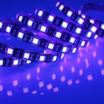 Alarmpore(TM) 16.4ft 5M UV 395nm 5050 SMD Purple 300Leds LED Flexible Strip rope Light lamp 12V DC (Black PCB Waterproof)