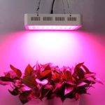 600W LED Indoor Plant Grow Light Kit, Full Spectrum with UV&IR for Indoor Greenhouse Plants Veg and Flower (10W Leds 60Pcs)