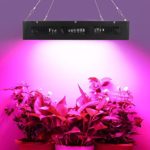 LAPUTA 1200W Grow Plant Led Light,Horticulture Full Spectrum for Hydroponic Indoor Greenhouse/Garden Plant Growing