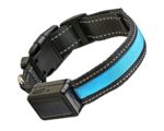Slap-Light LED Dog Collar with Quick Release Buckle, Solar and USB Rechargeable, Available in 4 Colors & 3 Sizes (L, Blue)