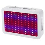 Dimgogo 1000W Double Chips LED Grow Light Full Spectrum Grow Lamp for Greenhouse Hydroponic Indoor Plants Veg and Flower,(10w Leds)