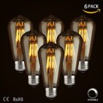 LED Dimmable Vintage Edison Led Bulbs 6W Antique Style, 2300K Warm White (Amber Gold Glass), Squarrel Cage Filament,ST64, E26 Base