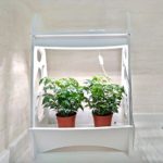 Topoter 10W Full Spectrum Plant Grow Light with Power Adapter for Indoor Plant Veg Flower Seeds,Mini Garden Frame LED Grow light(30LED,Art Design)
