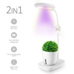 Relassy LED Desk Lamp and Plant Grow Light in One, Eye-caring Table Lamps and Full Spectrum Growing lamp, with Hydroponic Pot, USB Charging Port, Touch Control, Air Circulation Fan