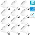 Luxrite PAR30 LED Dimmable Bulb, 75W Equivalent, 3000K Soft White, 12W LED Flood Light Bulb, 850 Lumens, Energy Star & UL Listed, E26 Base, Damp Location – Indoor/Outdoor (12 Pack)