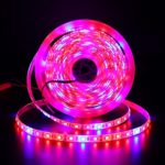 XUNATA 16.4ft LED Plant Grow Strip Light, SMD 5050 Waterproof Full Spectrum Red Blue 4:1 Rope Strip Grow Light for Greenhouse Hydroponic Plant, 12V (Tube Waterproof IP67, 4 Red:1 Blue)
