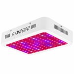 LED Grow Light 1000W, Dimgogo Full Spectrum Dual-Chip Growing Lamp for Hydroponic Indoor Plants Veg and Flower