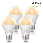 Tento LED 12V E26 Bulbs 10W A19 12-Volt Low Voltage Bulb, Medium Screw Base 60-watt 75w Bulb,Warm White RV Interior Light Camper Marine,Off Grid Solar Light Fixture (60w 75w 4 Pieces Warm White)